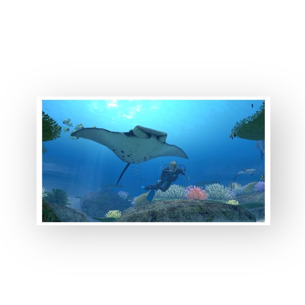 HTF: Nintendo Wii ๐ Endless Ocean: Dive Discover Dream Game ๐ Original Case ๐ - Picture 2 of 14